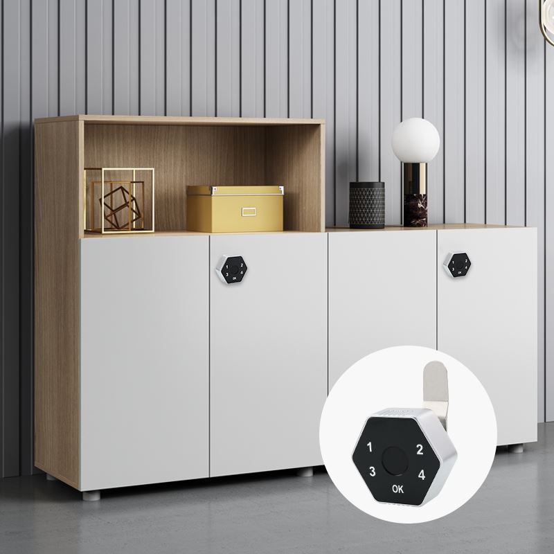 Bluetooth Cabinet Locks suppliers