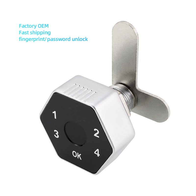 Bluetooth Cabinet Locks factory