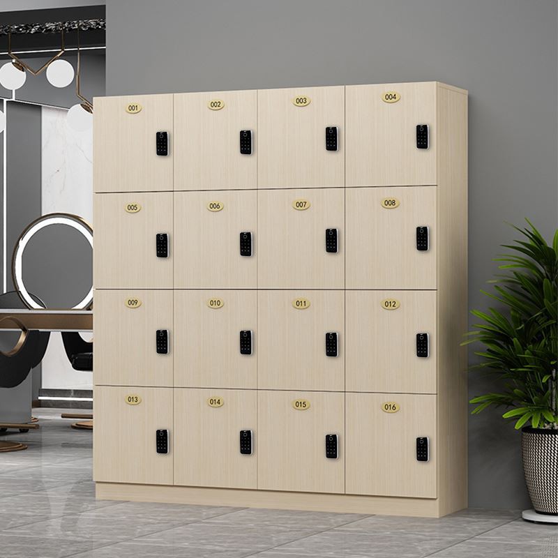 Electronic Locker Locks suppliers