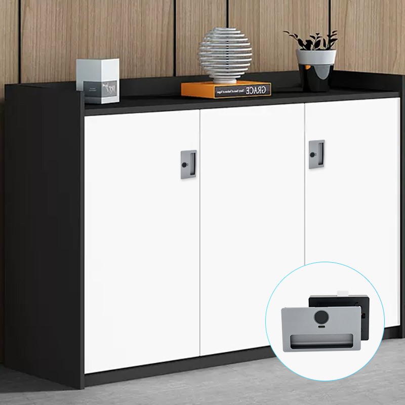 Fingerprint Cabinet Locks suppliers