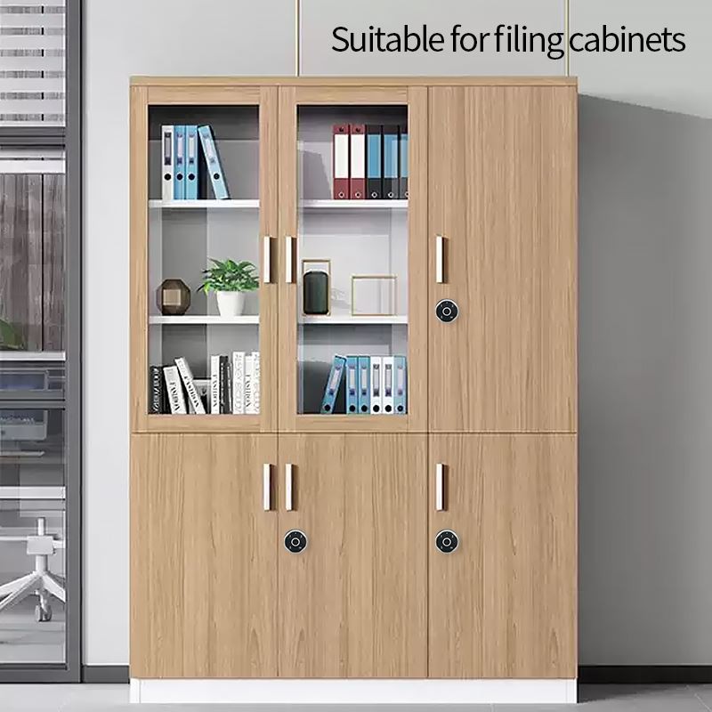 Fingerprint Password Cabinet Lock suppliers