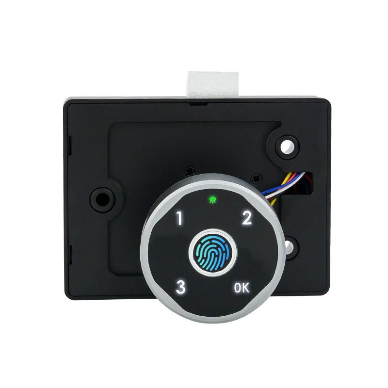 Fingerprint Password Cabinet Lock factory