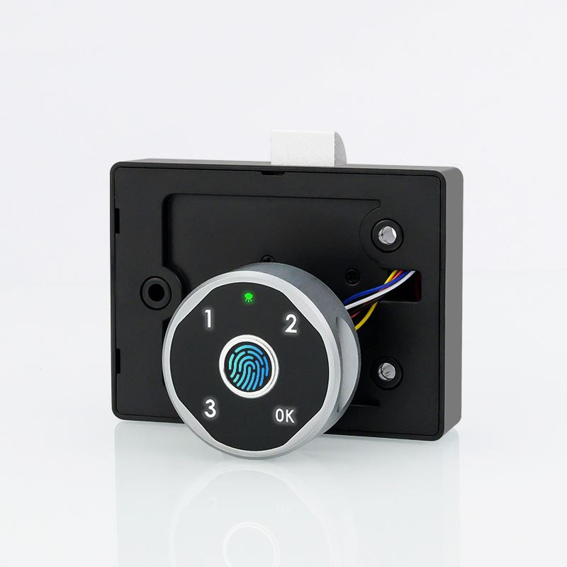 Fingerprint Password Cabinet Lock high quality