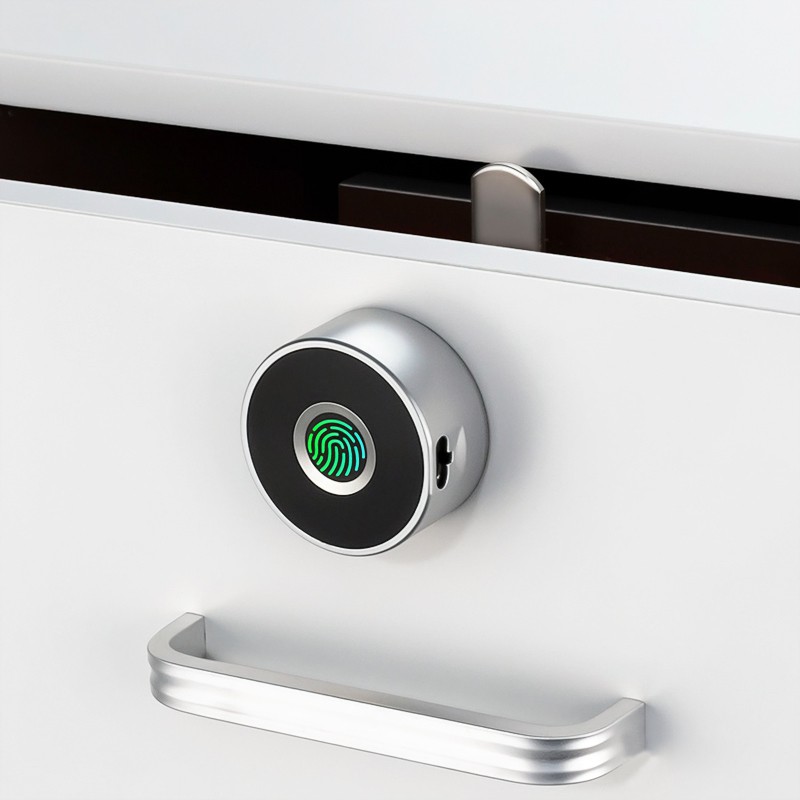RFID Cabinet Lock suppliers