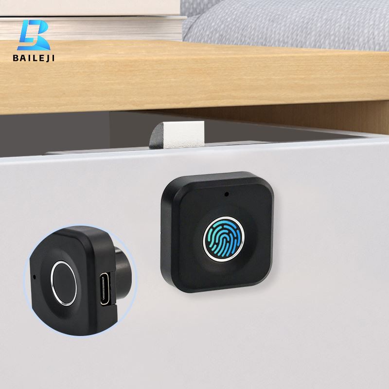 Cabinet Lock Fingerprint