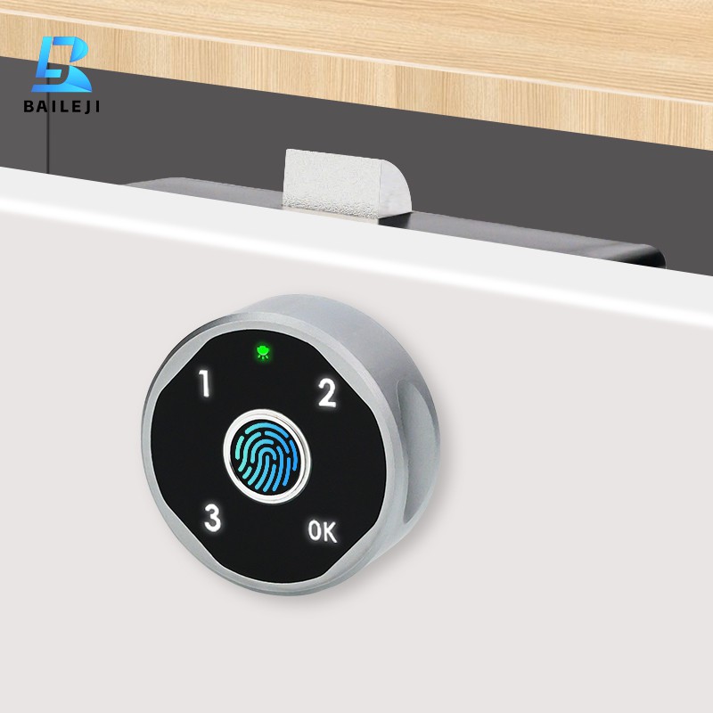Fingerprint Password Cabinet Lock