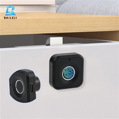 Cabinet Lock Fingerprint